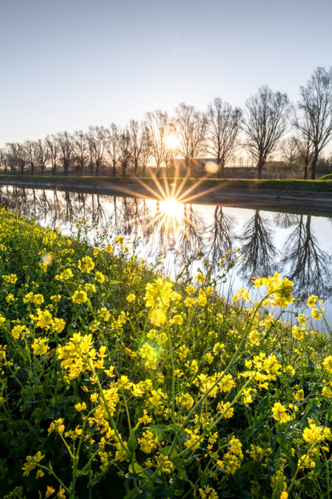 zicht op de oude Leie