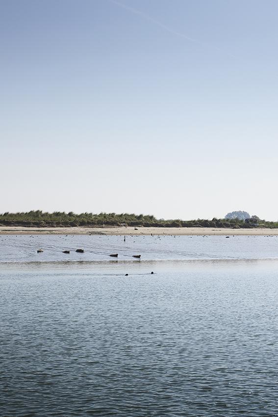 nieuwpoort_090526_000192