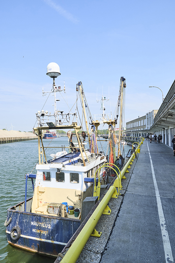 nieuwpoort_090526_001035