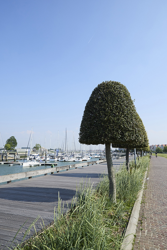 nieuwpoort_090526_001115